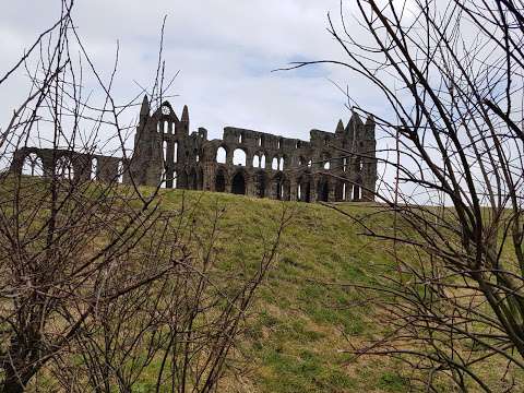 Whitby Abbey Parking photo